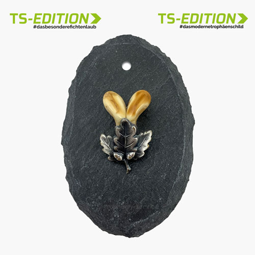 Aufsetzvariante TS-1: Trophäenschiefer oval und Eichenlaub altsilber