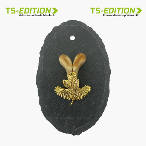 Aufsetzvariante TS-8: Trophäenschiefer oval und Fichtenlaub vergoldet