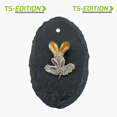 Aufsetzvariante TS-7: Trophäenschiefer oval und Fichtenlaub versilbert