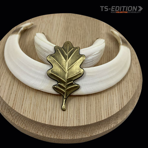 Eichenblatt TS-EDITION in altsilber – Überläufer auf Eiche TS-NATURE