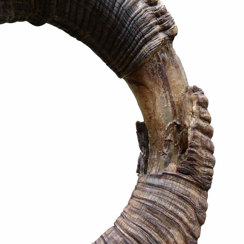 Detailansicht des Rammschaden an einer der Schnecken