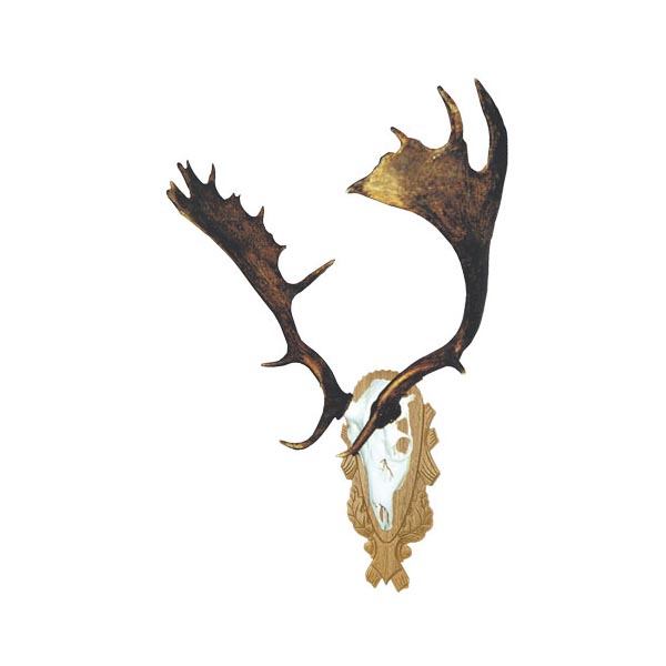 Damhirsch auf geschitztem Trophäenschild