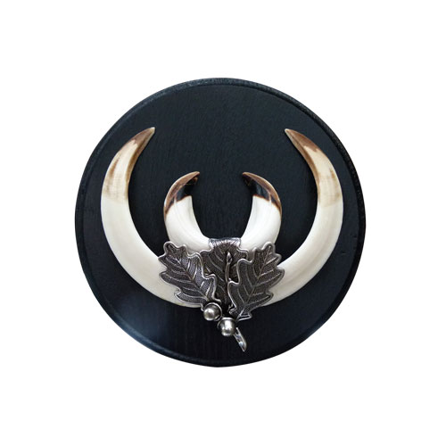 junger Keiler auf dunklem Eichenschild
