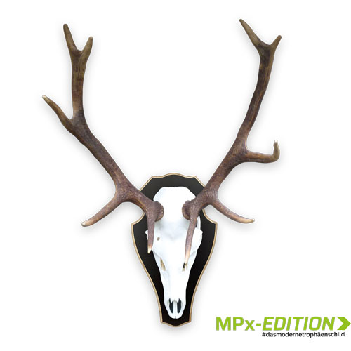 Hirsch auf MPx-EDITION