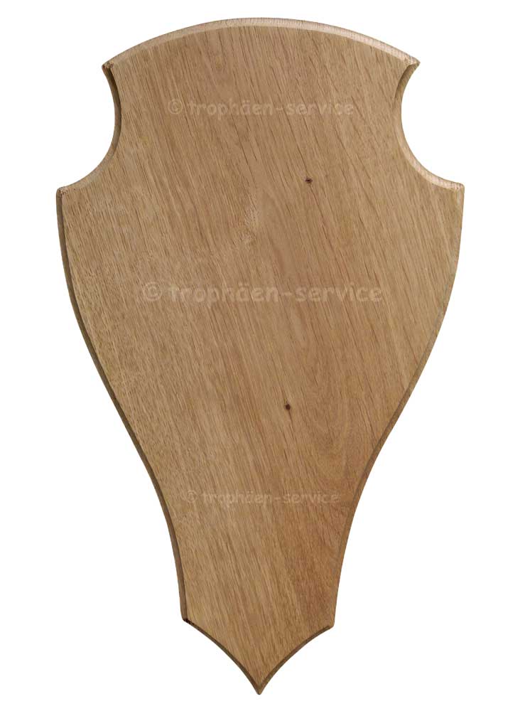 Geweihschild H-2 klar lackiert